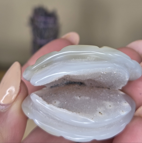 Druzy Agate Shell - Picture 5 of 6